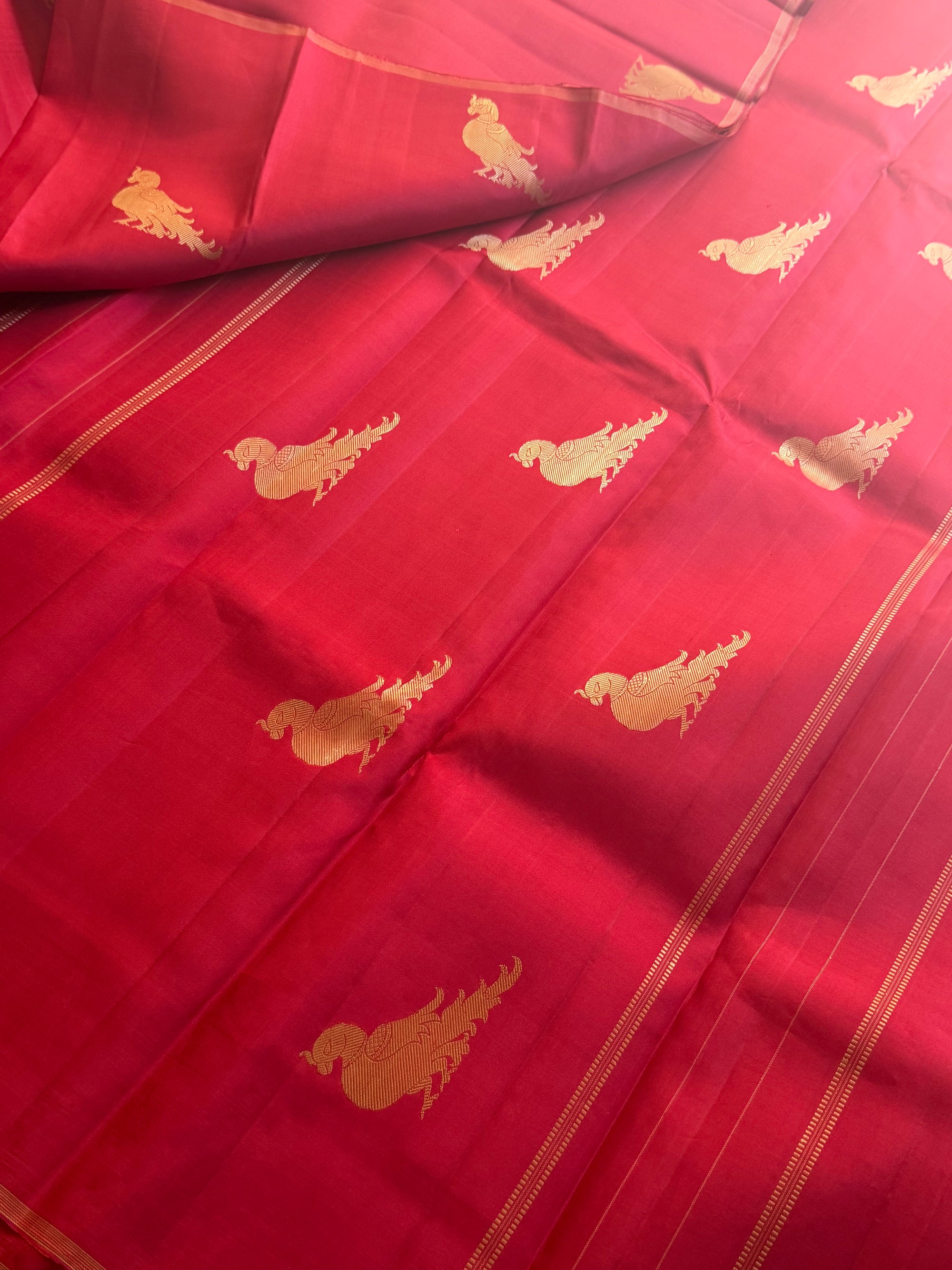 No Zari Korvai Kanjivaram Silk (Ruby Red)