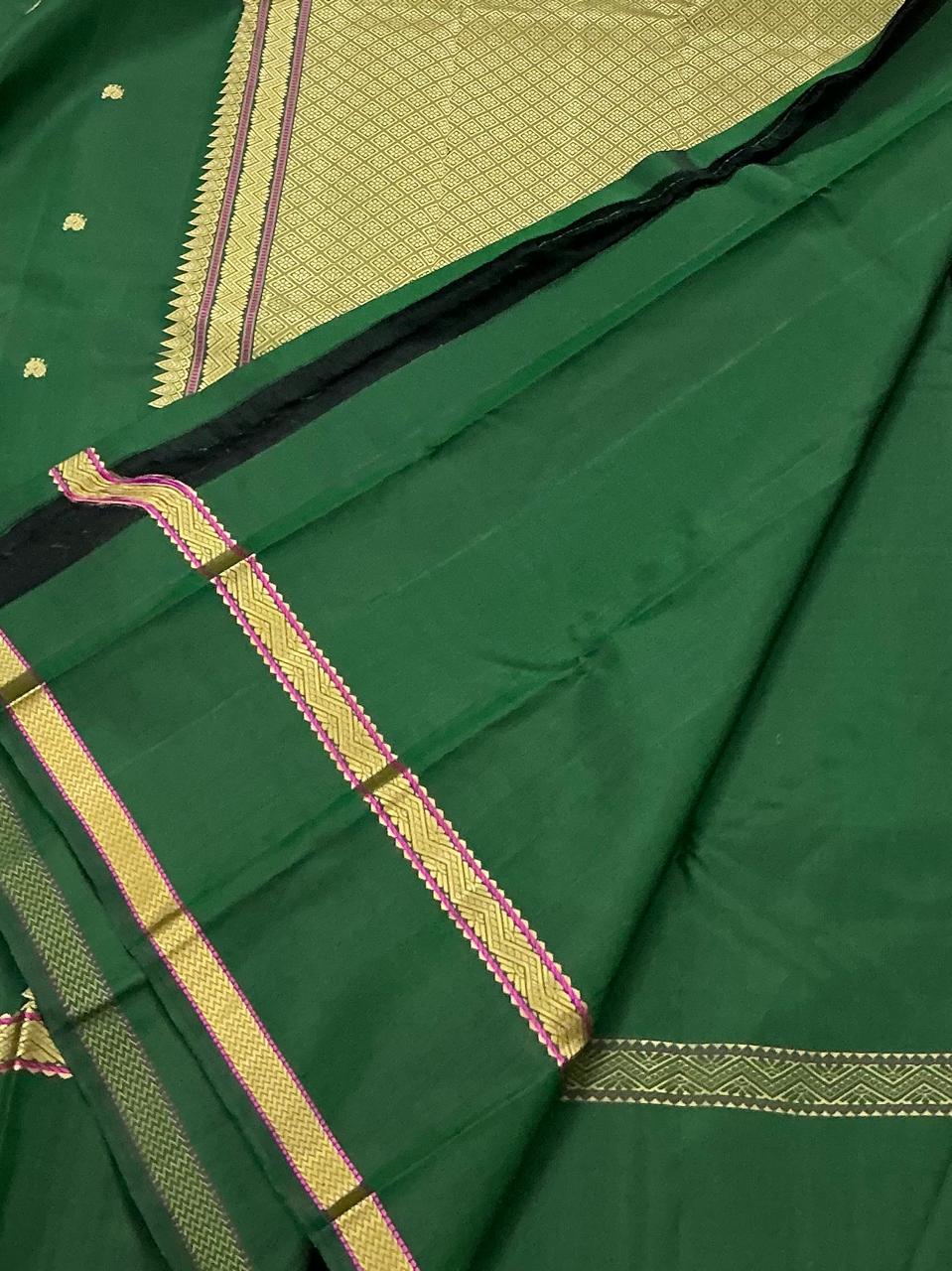 No Zari  Kanjivaram Silk : SELF BORDERS (Green)